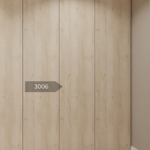 3006