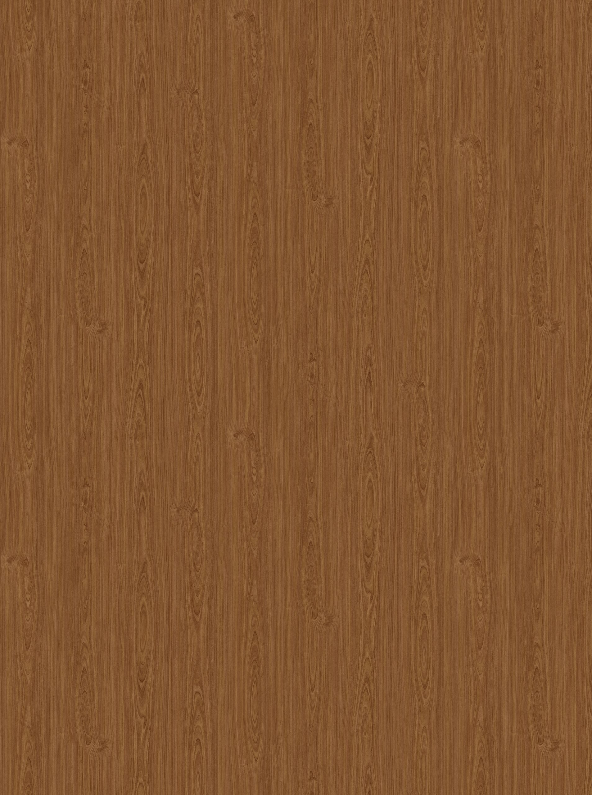 3031 cherry 3031 cherry