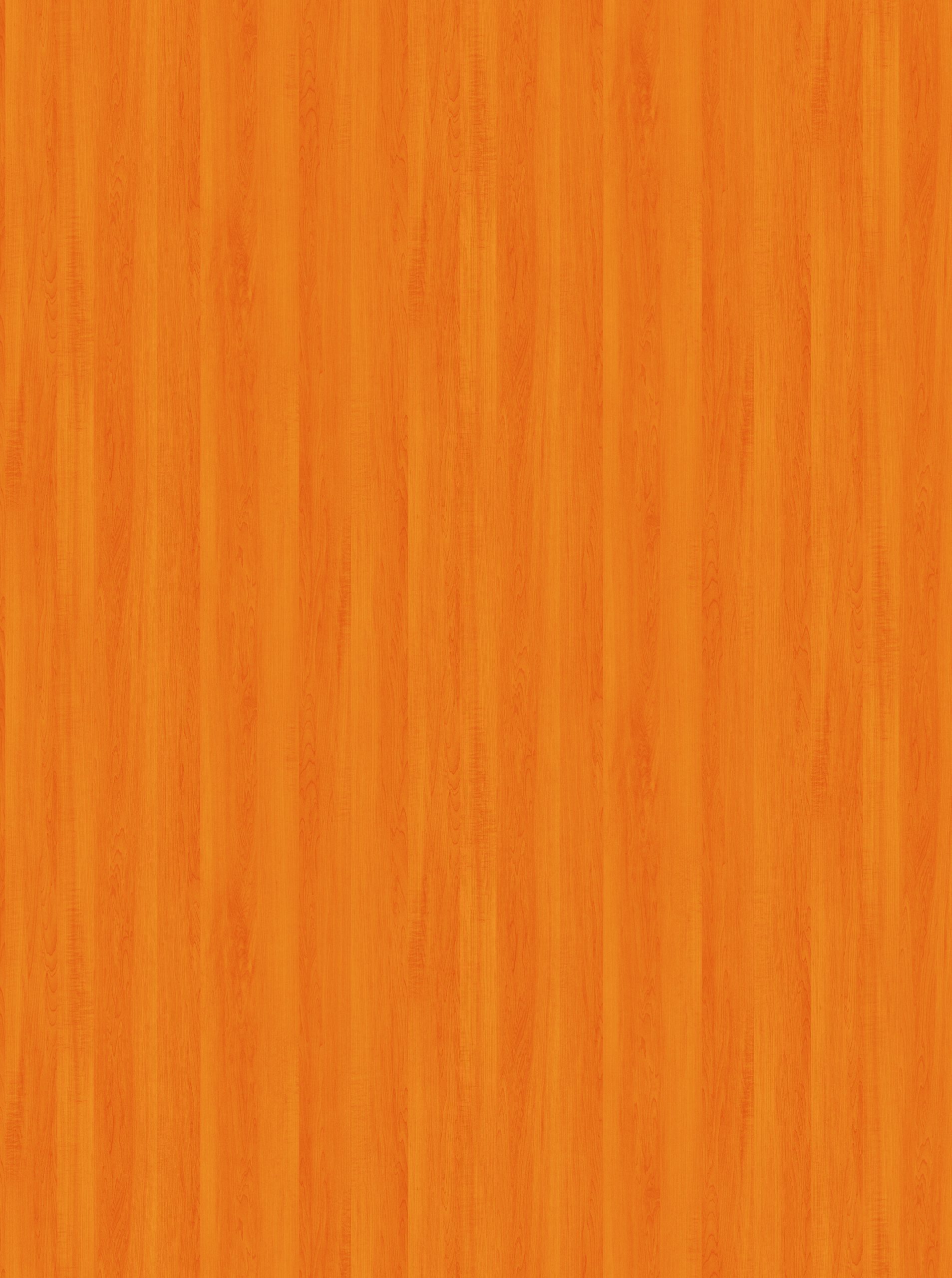 3039 linden tree 3039 linden tree