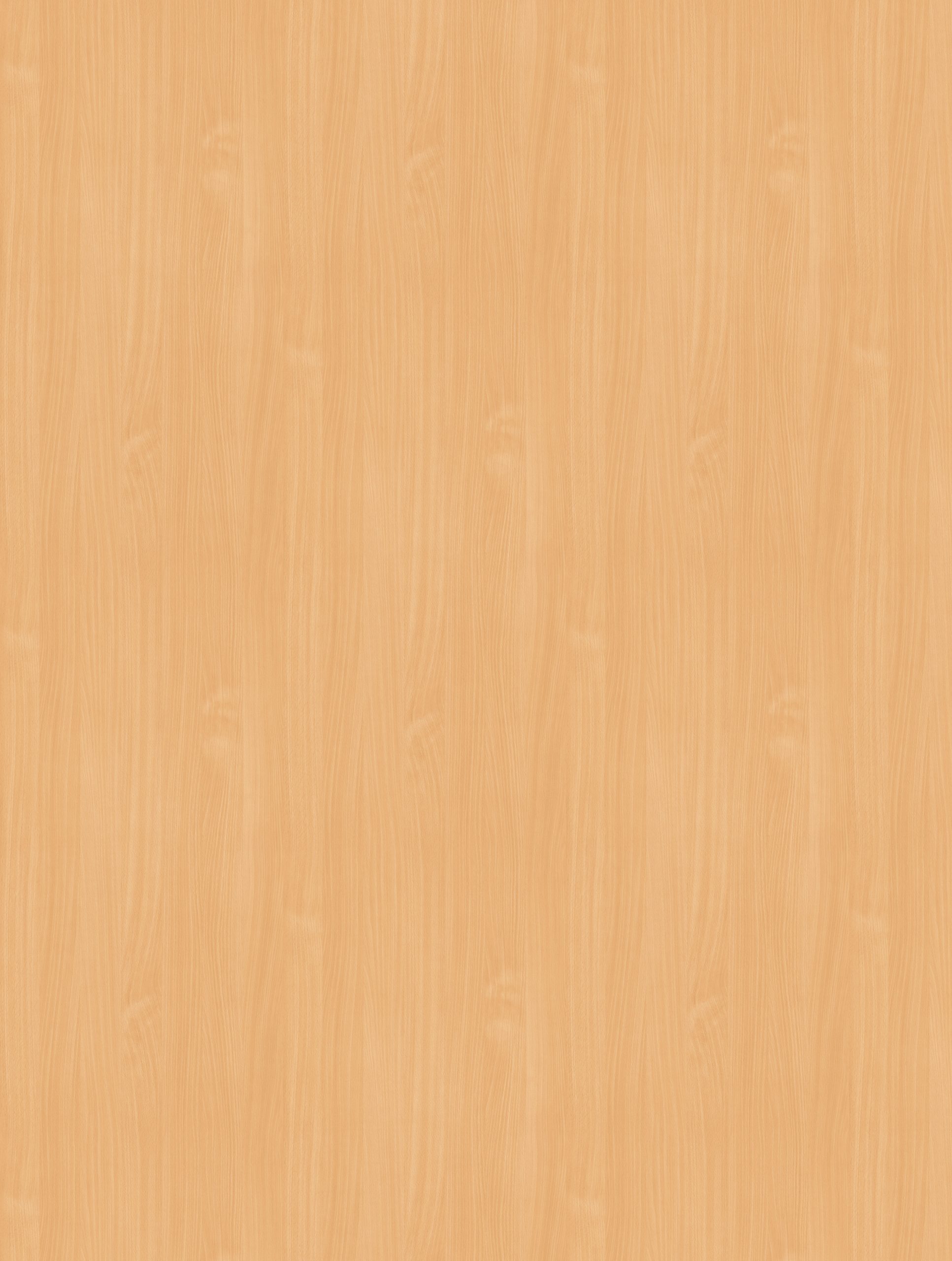 3043 bavarian beech 3043 bavarian beech