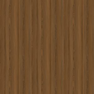 3094 dream elm