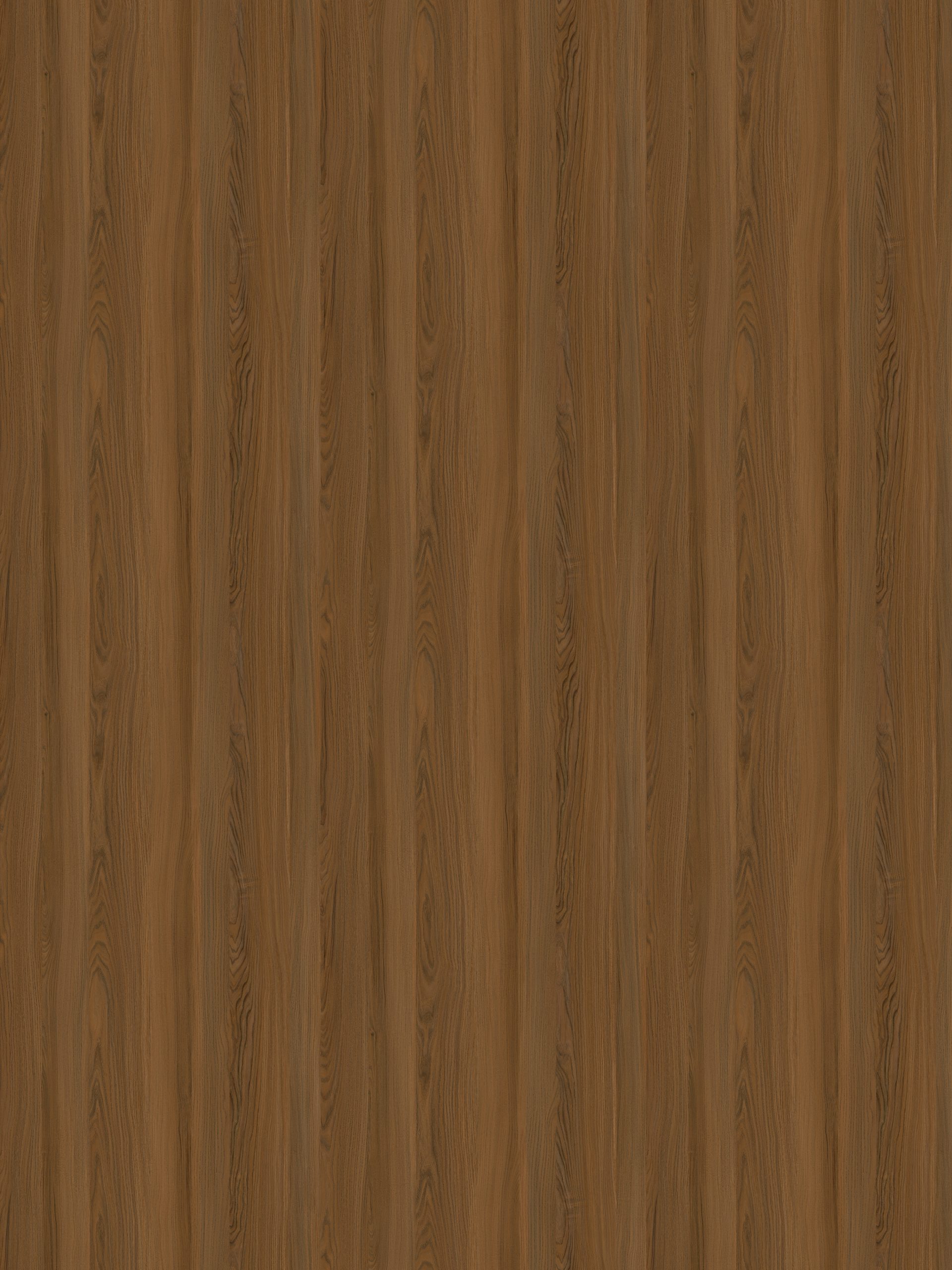 3094 dream elm 3094 dream elm