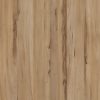 Monfort Shield - 3104 3104 monfort shield