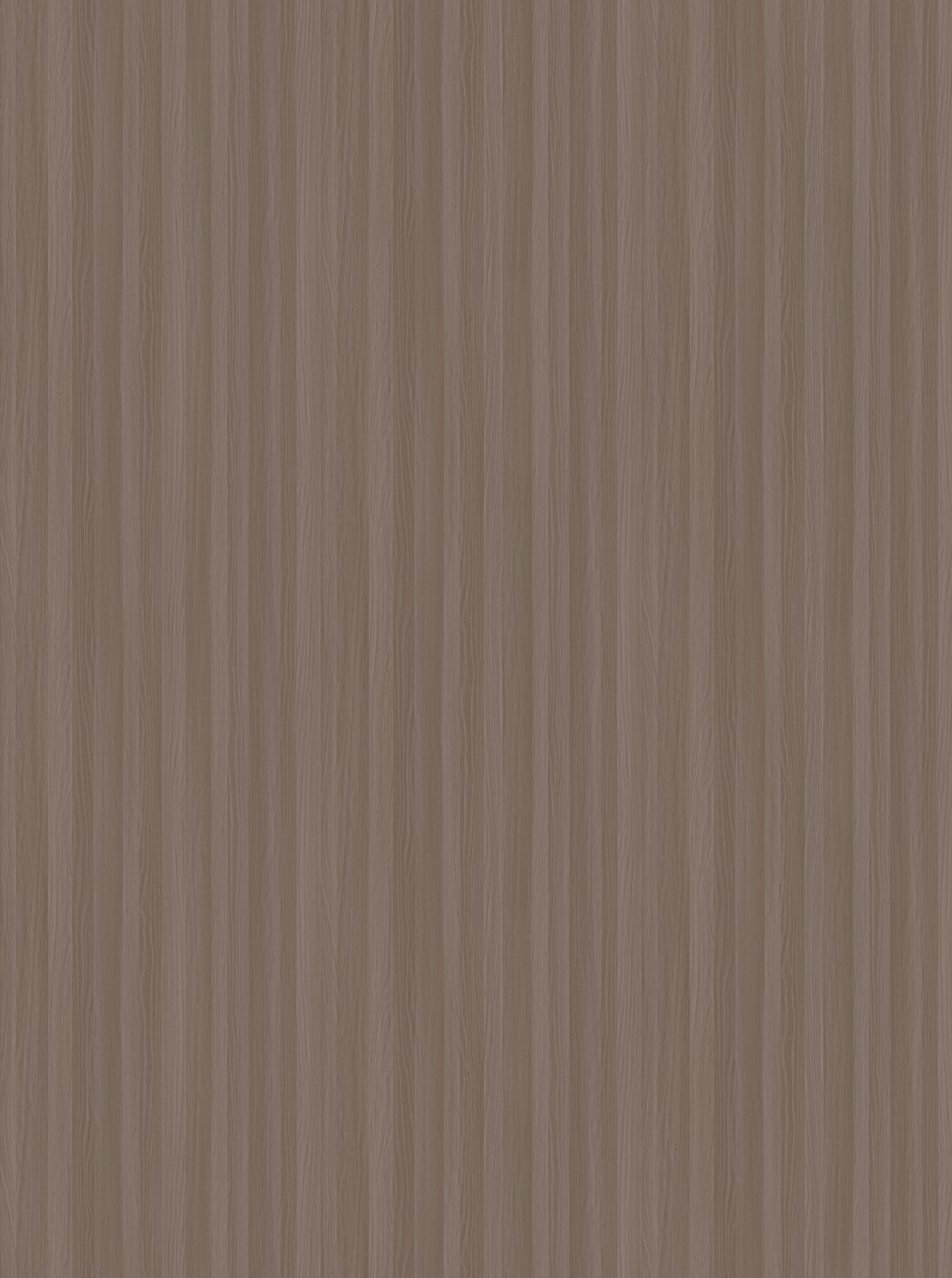 caffe latte 3119 caffe latte 3119