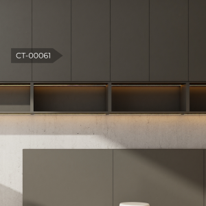 ct 00061 2