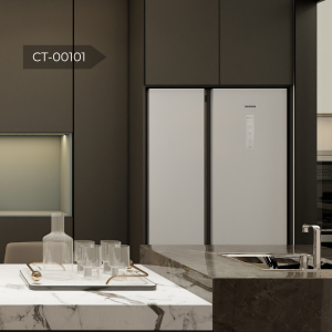 ct 00101 2